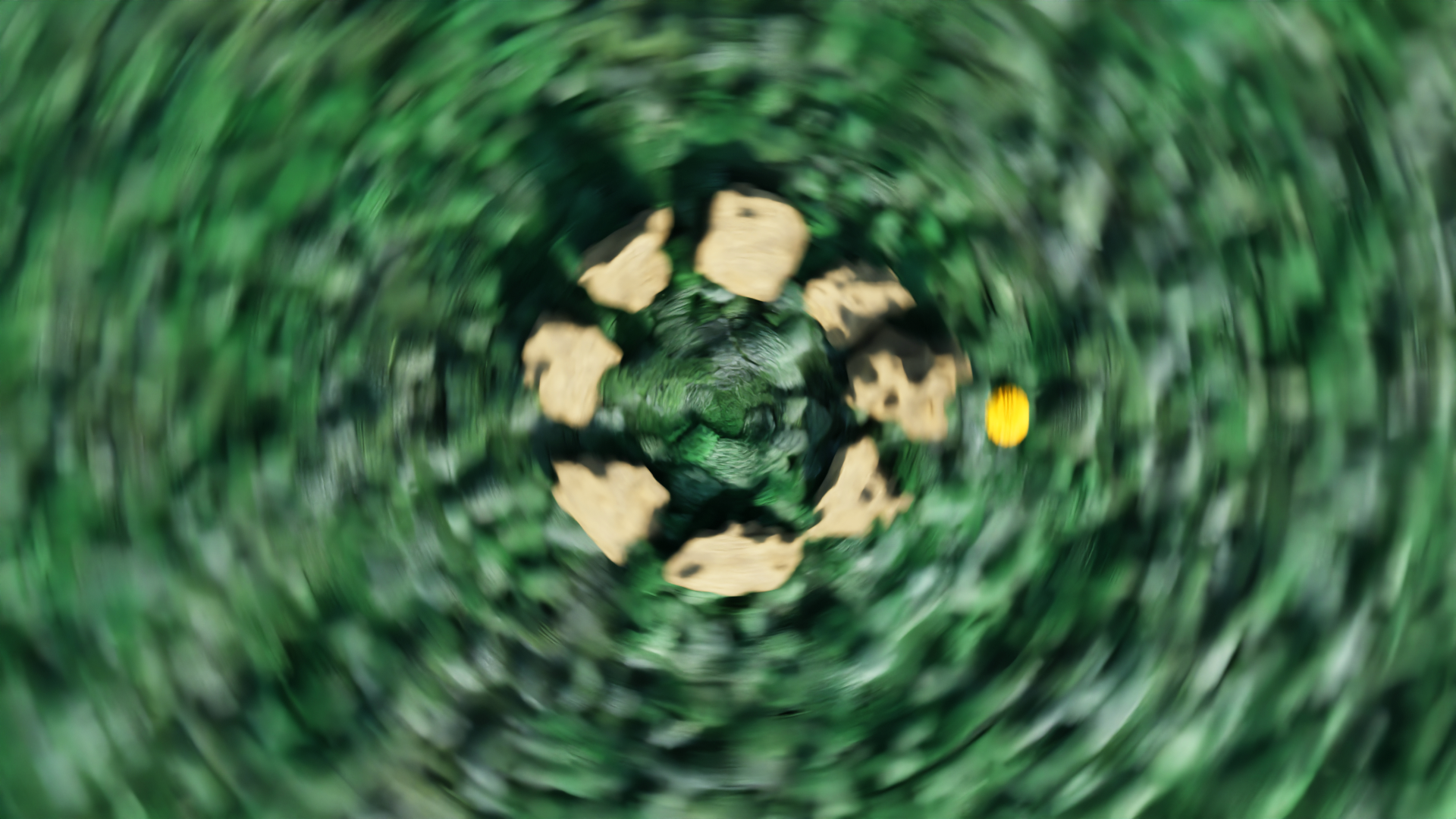 Stone circle in a grassy field